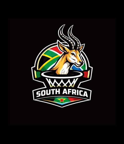 Tournoi de streetball 1v1 Afrique du Sud